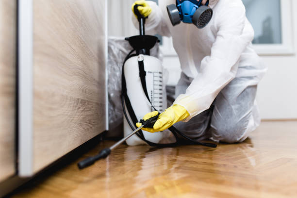 Best Wasp Removal Services  in Califon, NJ