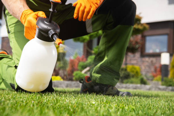 Best Rat Extermination Near Me  in Califon, NJ