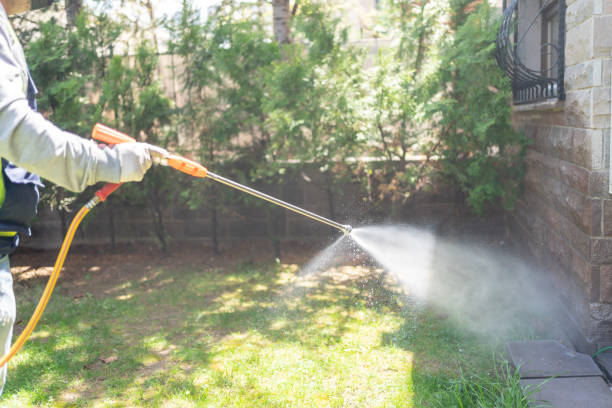 Best Bird Control  in Califon, NJ