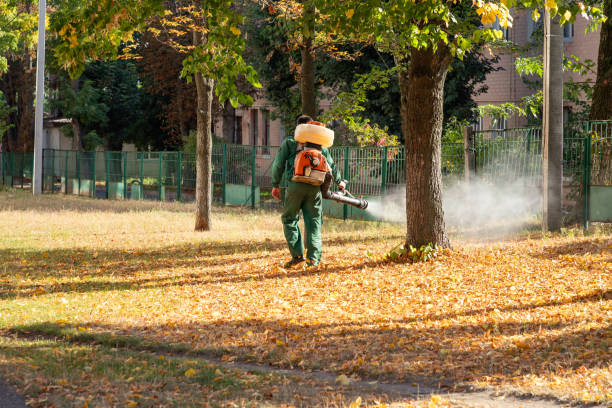 Best Cockroach Control Services  in Califon, NJ