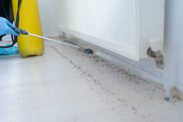 Professional Pest Control in Califon, NJ